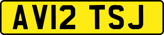 AV12TSJ