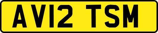 AV12TSM