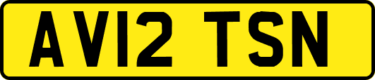 AV12TSN