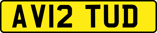 AV12TUD