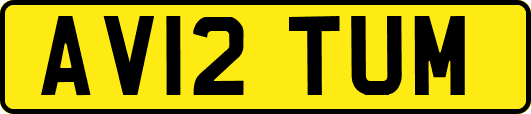AV12TUM