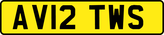 AV12TWS