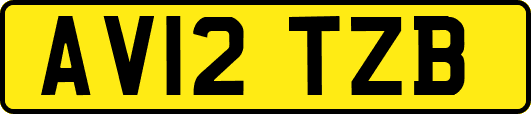 AV12TZB