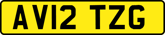 AV12TZG