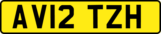 AV12TZH