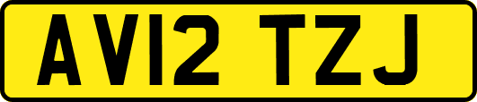 AV12TZJ