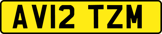 AV12TZM