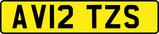 AV12TZS