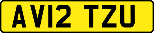 AV12TZU