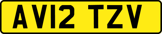 AV12TZV
