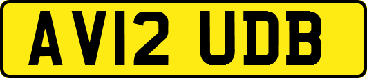 AV12UDB