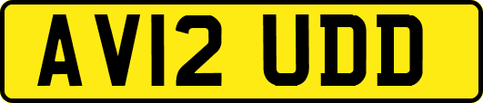 AV12UDD