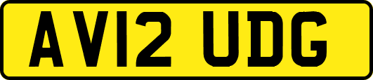AV12UDG