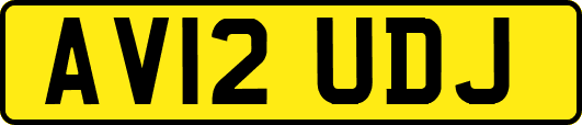 AV12UDJ