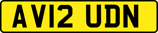 AV12UDN