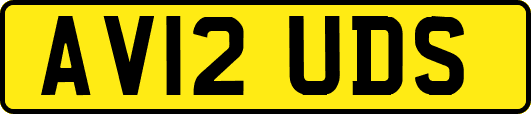 AV12UDS