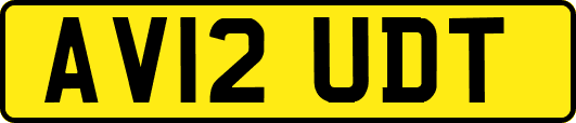 AV12UDT