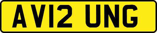 AV12UNG