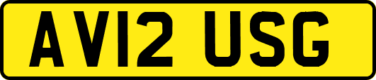 AV12USG