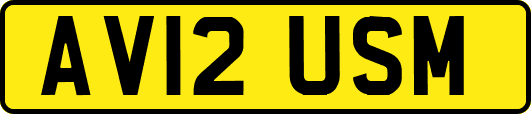 AV12USM