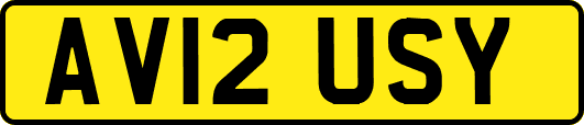 AV12USY