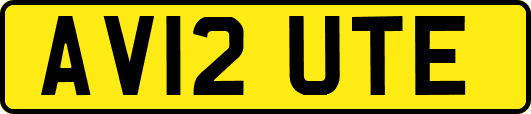 AV12UTE