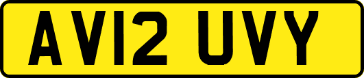 AV12UVY