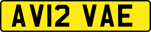 AV12VAE