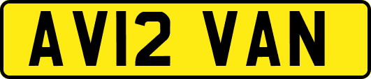 AV12VAN