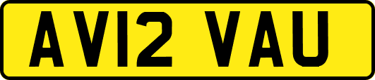 AV12VAU