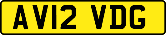 AV12VDG