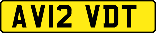 AV12VDT