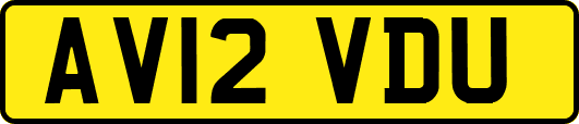 AV12VDU