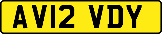 AV12VDY