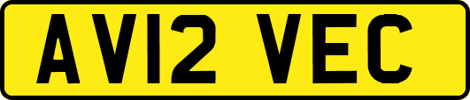 AV12VEC