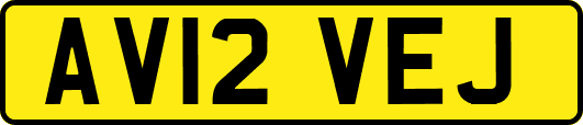 AV12VEJ