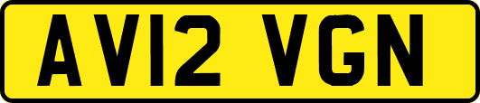 AV12VGN