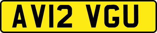 AV12VGU