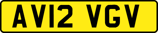 AV12VGV