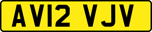AV12VJV
