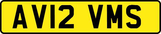 AV12VMS