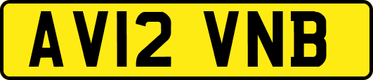 AV12VNB
