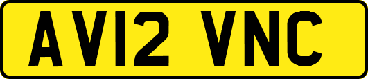 AV12VNC
