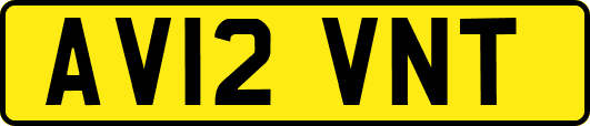 AV12VNT