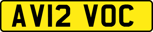 AV12VOC