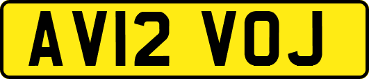 AV12VOJ