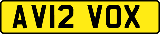 AV12VOX