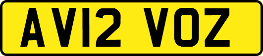 AV12VOZ