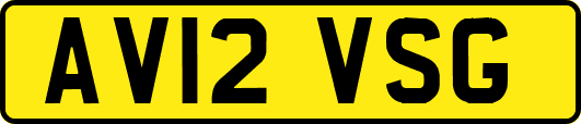 AV12VSG