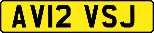 AV12VSJ